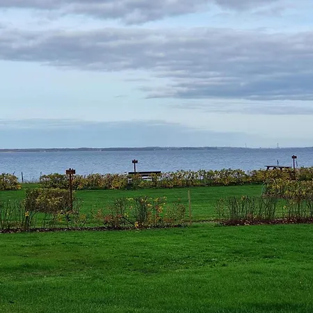 4 Person In Hejls-by Traum *