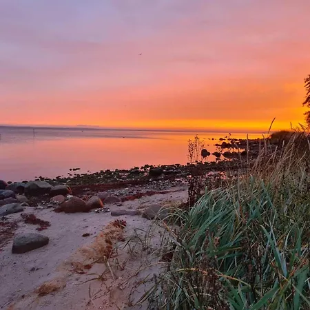 4 Person In Hejls-by Traum